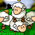 Puzzled Sheep