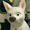 Run Bolt Run