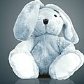 Save the Bunny