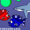 Shark!