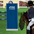 Show Jumping