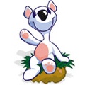 Snowy: Puzzle Islands