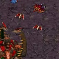 StarCraft FA 5