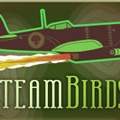 SteamBirds: Survival
