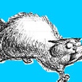 Super Cat Cannon