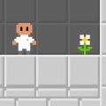 Tetris Labs