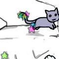 The Kitty Story