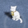 Time4Cat