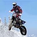 Winter Rider