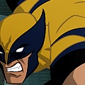 Wolverine M.R.D. Escape